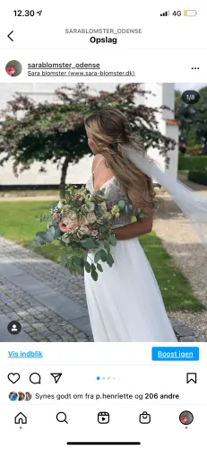 SARA BLOMSTER