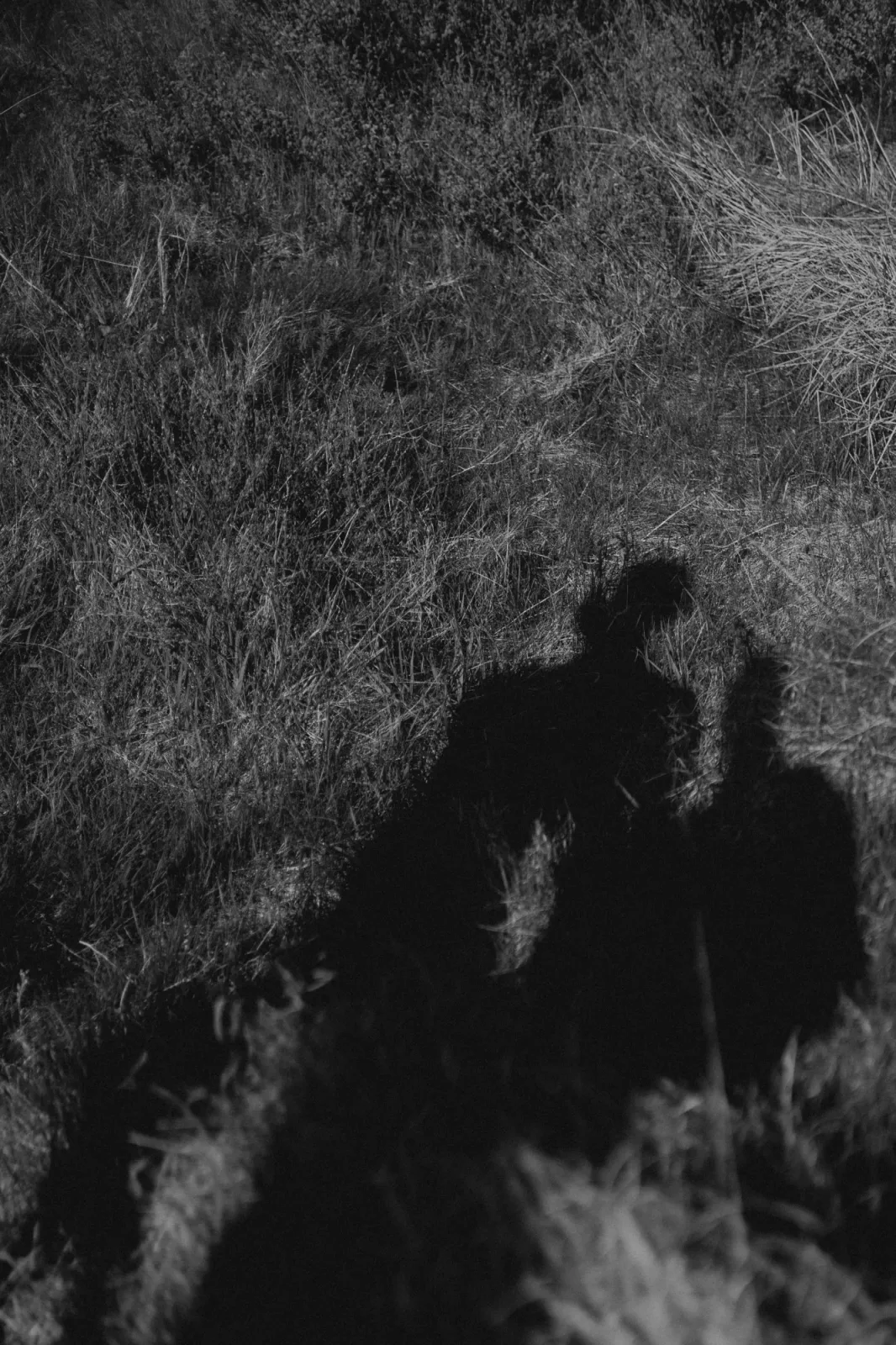 Emilie Toldam Photography