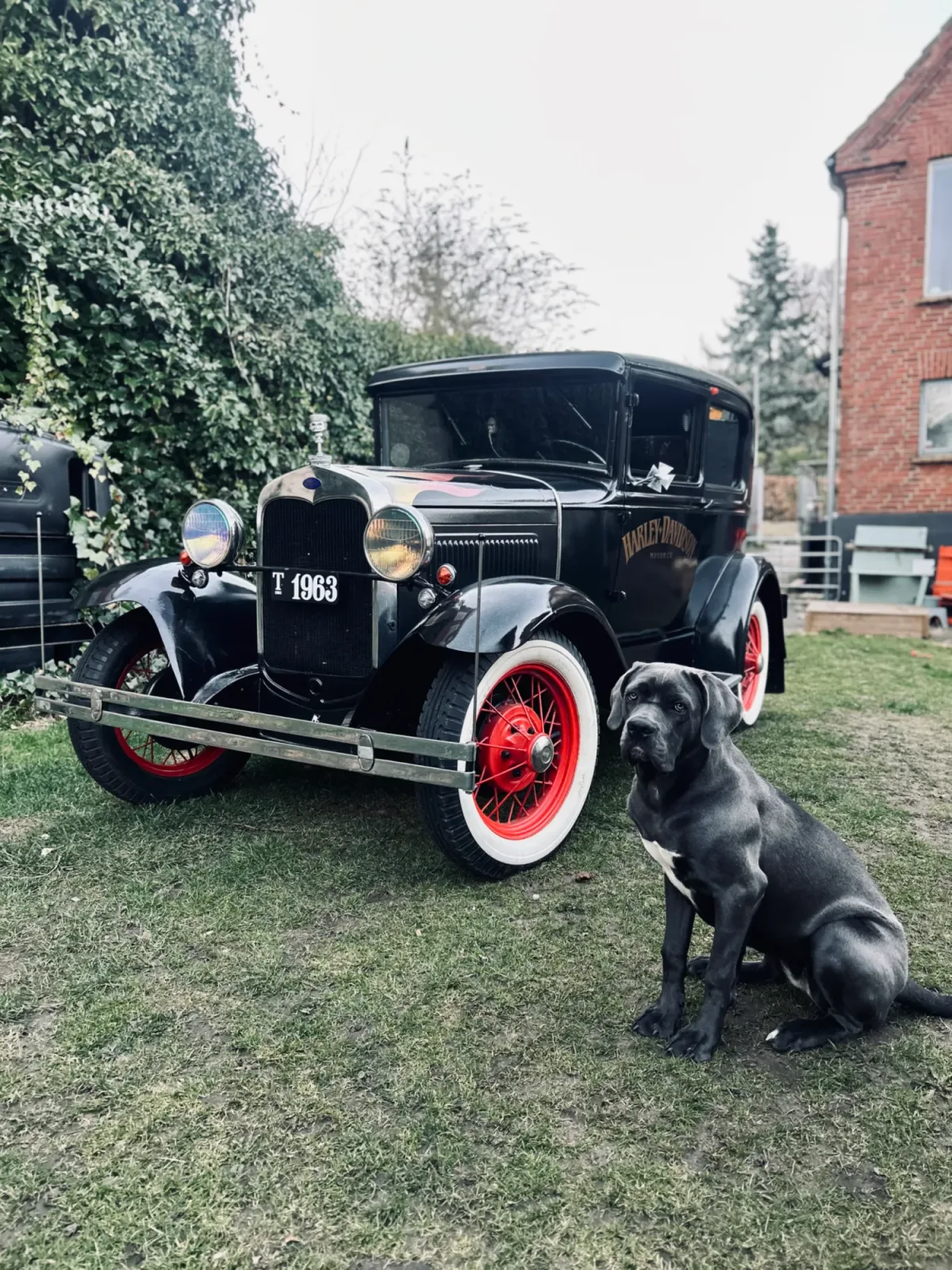 Ford Tudor