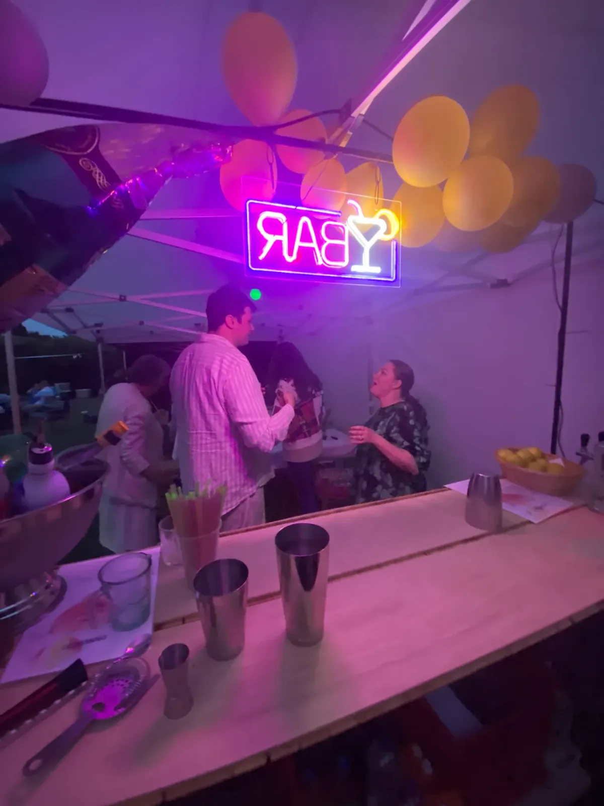 CocktailHoldet - Mobil barløsning